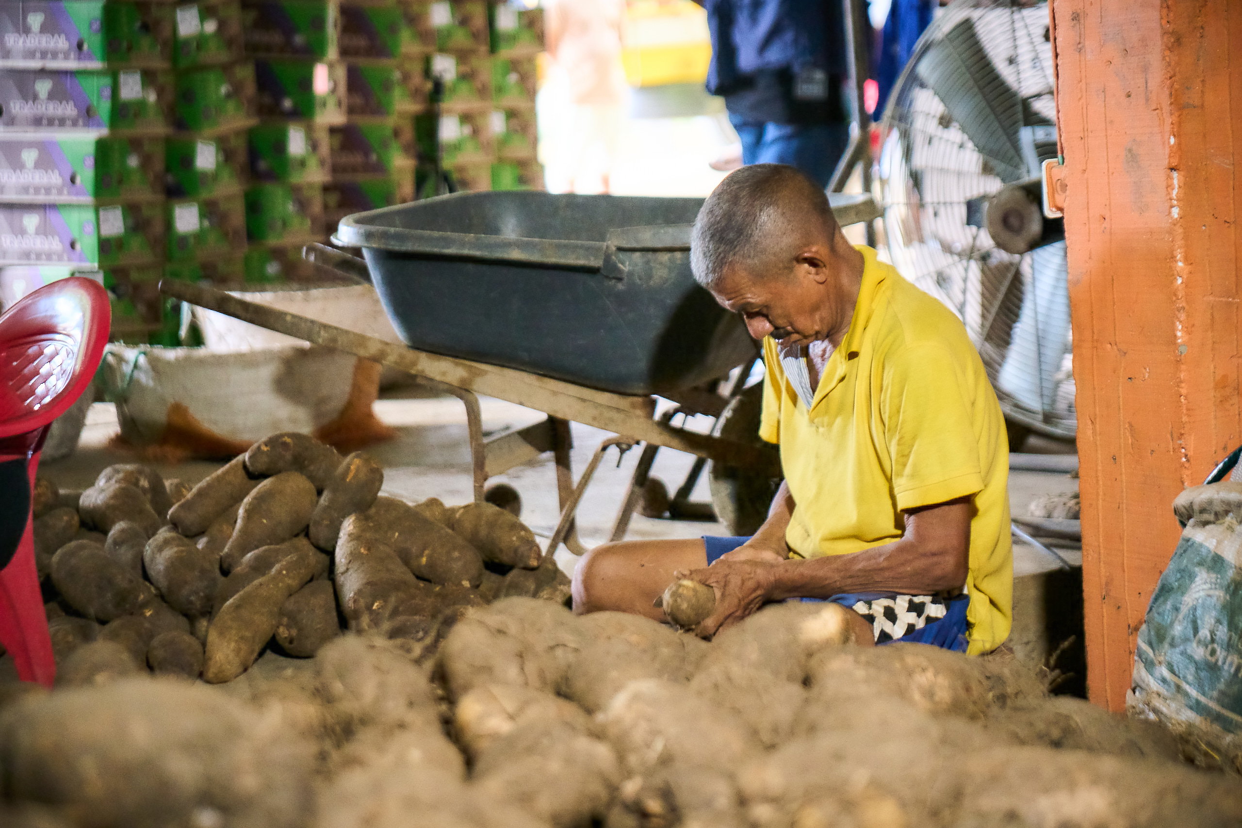 Cultivos de Montes de María